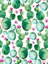 Seamless pattern with high quality hand painted watercolor cactus plants and purple flowers. Royalty Free Stock Photo