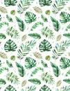 Seamless pattern with high quality hand painted watercolor tropical leaves.Tropical forest collection. Royalty Free Stock Photo