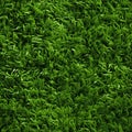 Seamless pattern of high quality, photo realistic top view of lush green grass background