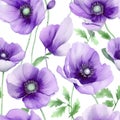 Seamless watercolor pattern with floral plants Himalayan Poppy. Vector Illustration