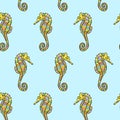 Seamless pattern from hippocampus. Hand drawing cartoon sea horse