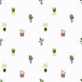seamless pattern with home flower in a pott Royalty Free Stock Photo