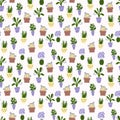 seamless pattern with home flower in a pott Royalty Free Stock Photo