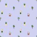 seamless pattern with home flower in a pott Royalty Free Stock Photo
