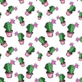 Seamless pattern of home green flat vector cactus in pink pot Royalty Free Stock Photo