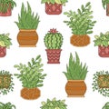 Seamless pattern with home plants ficus, chlorophytum, cacti and succulents aloe in pots