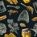 Seamless Pattern with honey, bee, hive, clover, spoon, cracker, honeycomb. Royalty Free Stock Photo