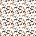 Seamless pattern with horse in flat style.