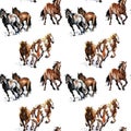 Seamless pattern with horses. wild mustang running illustration