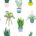 Seamless pattern of house plants isolated on white background. Potted plants. Vector illustration in flat style.