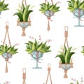 Seamless pattern. Houseplant and macrame plant growing in pots. Set of handmade home decorations macrame plants isolated