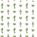 Seamless pattern. Houseplant plant growing in pots. Set of handmade home plants isolated on white background. Cartoon Royalty Free Stock Photo