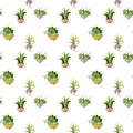 Seamless pattern. Houseplant plant growing in pots. Set of handmade home plants isolated on white background. Cartoon Royalty Free Stock Photo