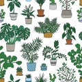 Seamless pattern with houseplants growing in pots on white background. Backdrop with decorative plants in planters. Home