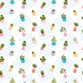 Seamless pattern with houseplants in pots. Royalty Free Stock Photo