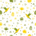 Seamless pattern with hummingbird and leaves. Cute background Royalty Free Stock Photo