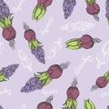 Seamless pattern is hyacinth spring flower vector illustration