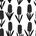 Seamless pattern hyacinths flowers silhouettes. Botanical colourful vector illustration Royalty Free Stock Photo