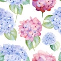 Seamless watercolor pattern with floral plants Hydrangea. Vector Illustration
