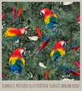 Seamless pattern illustration Amazon scarlet macaw birds and leaves Royalty Free Stock Photo