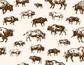 Bison Herd Pattern Illustration Royalty Free Stock Photo
