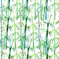 Seamless pattern illustration with bamboo thicket isolated Royalty Free Stock Photo