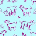 Seamless pattern illustration with hand drawn cute pigs pink isolated on blue