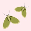 Illustration on a square background - a pair of happy moths in flight. Valentine Day, gift, congratulations, love
