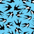 1324 petterne, seamless pattern image birds of martlet, ornament for wallpaper and fabric, scrapbooking paper, background for diff