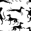 Seamless pattern with the image of silhouettes of dogs of hunting breeds Royalty Free Stock Photo