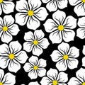 Seamless pattern with the image of white flowers on a black background Royalty Free Stock Photo