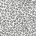 Seamless pattern. Imitation of skin of snow leopard irbis. Black and grey spots on grey background. Royalty Free Stock Photo