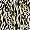 Seamless pattern. Imitation of skin of tiger. Black and golden stripes on white background. Animal print. Striped pattern