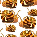 seamless pattern insect snail gastropod mollusk. vector illustration