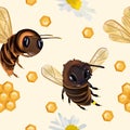 Seamless pattern with insect, wasp, beeswax, honey bee, Chamomile flower. Pattern with insect for your design. 3d Vector