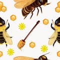 Seamless pattern with insect, wasp, beeswax, honey bee, honey dipper, flower. Pattern with insect for your design. 3d