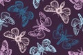 Seamless pattern with insects moths. Night scene. Hand drawn. Ink.