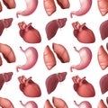 Seamless pattern of internal human organs. Vector illustration of liver, lungs, heart and stomach isolated on white background.