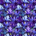 Seamless pattern of iris flowers on a purple background Royalty Free Stock Photo