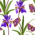 Seamless pattern with iris flowers and purple butterfly.