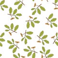 Seamless pattern with Irish Oak Quercus petraea medicinal plant on white background
