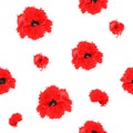 Seamless pattern of isolated poppies flowers on a white background. Steele watercolor. Red spots.
