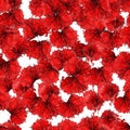 Seamless pattern: isolated poppy flower petals on white background. Vector.