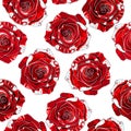 Seamless pattern of isolated red roses on a white background. Royalty Free Stock Photo