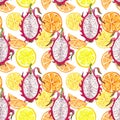 Seamless pattern with isolated watercolor summer fruits - dragon fruit, citrus slice, lemon, orange, isolated on white background Royalty Free Stock Photo