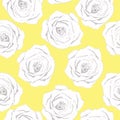 Seamless pattern of isolated white and grey roses on a yellow background. Royalty Free Stock Photo