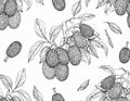 Seamless Pattern of Jackfruit on Branches with Leaves, Hand-Drawn Sketch Style Royalty Free Stock Photo