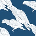 Seamless pattern Jaco parrot the blue Africa Vector illustrati