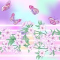 Seamless pattern with Japanese blossom sakura and butterflies. Royalty Free Stock Photo