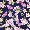 Seamless pattern with Japanese blossom sakura and butterflies. V Royalty Free Stock Photo